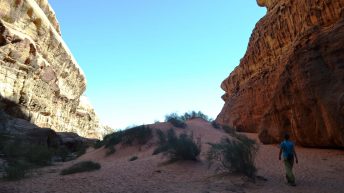 correctedDSC 0474 344x193 - JORDANIA