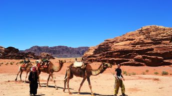 correctedDSC 0599 344x193 - JORDANIA
