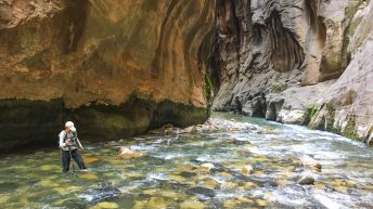 iphone 9064 344x193 - Wild, wild west - USA cz.1