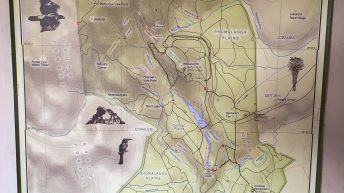 s 6 344x193 - Pierwsze kroki na afrykańskiej ziemi - RPA & Eswatini cz.1