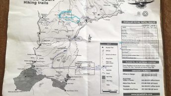 s 7 e1568193207136 344x193 - Pierwsze kroki na afrykańskiej ziemi - RPA & Eswatini cz.1