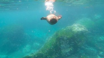 wyspy galapagos wideo 366x205 - Wyspy Galapagos - wideo