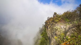 x 1 6 344x193 - Pierwsze kroki na afrykańskiej ziemi - RPA & Eswatini cz.1