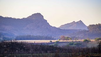 x 103 344x193 - Pierwsze kroki na afrykańskiej ziemi - RPA & Eswatini cz.1