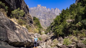 x 14 344x193 - Pierwsze kroki na afrykańskiej ziemi - RPA & Eswatini cz.1