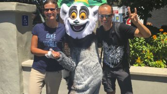 x 2 2 344x193 - Pożegnanie z Ameryką - USA cz.3