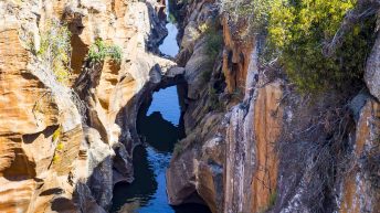 x 3 3 344x193 - Pierwsze kroki na afrykańskiej ziemi - RPA & Eswatini cz.1