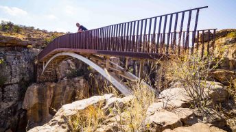 x 5 2 344x193 - Pierwsze kroki na afrykańskiej ziemi - RPA & Eswatini cz.1