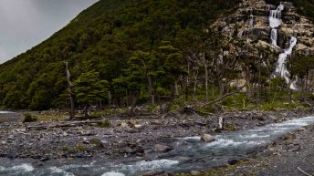 z 3 344x193 - No pain, no Paine - Patagonia