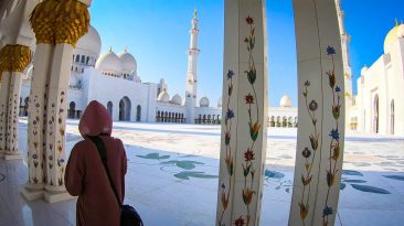 zea wideo 366x205 - ZEA - wideo